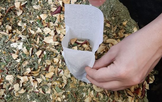 Vabljeni na delavnico: Priprava zeliščnih čajev